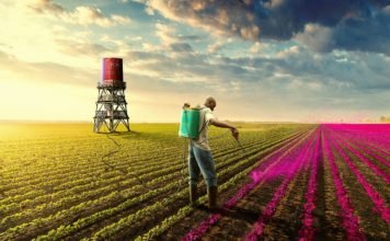 Psychosocial landscape after COVID-19: glimpses into a better future