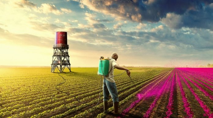 Psychosocial landscape after COVID-19: glimpses into a better future